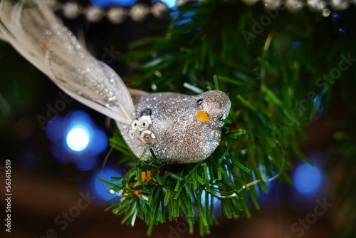Oiseau de Noel - Bird Christmas