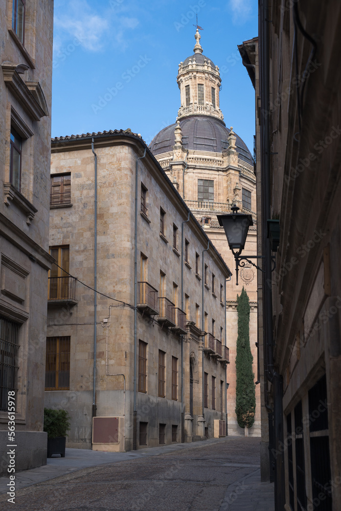 Typical streets of the city of Salamanca with views of the Pontifical University and the Clerecia (name given to the building of the former Real Colegio del Espíritu Santo). 