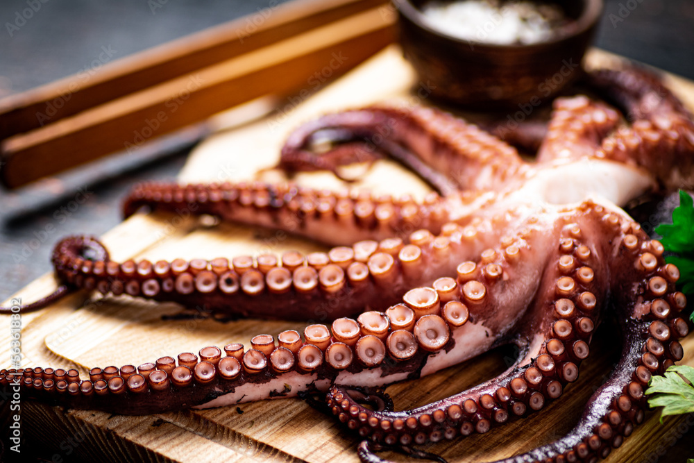 Octopus on a wooden cutting board. Octopus on a wooden cutting board.