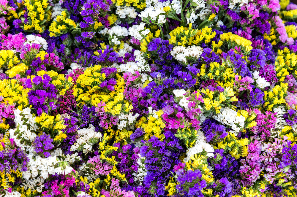 Obraz premium Natural organic background from decorative flowers