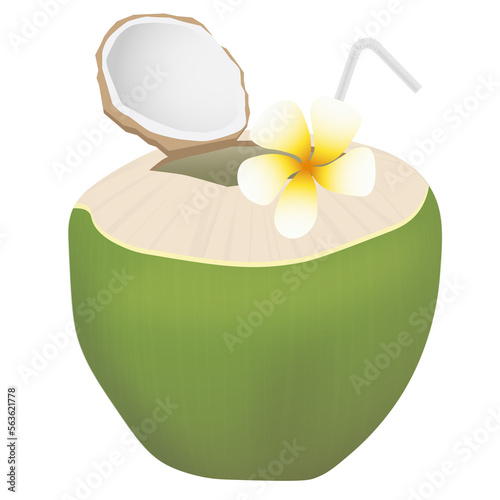 The best fruit delicious sweet coconut fragrance isolated on PNG white transparent background 01