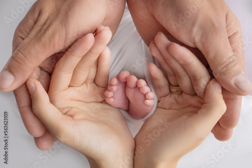 Small feet of a newborn in the hands of parents. Loving palms of the hands of mother and father. Conceptual image of fatherhood. Close-up, selective focus. Professional photography a white background.