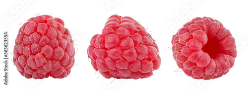 Raspberry collection isolated on white background.