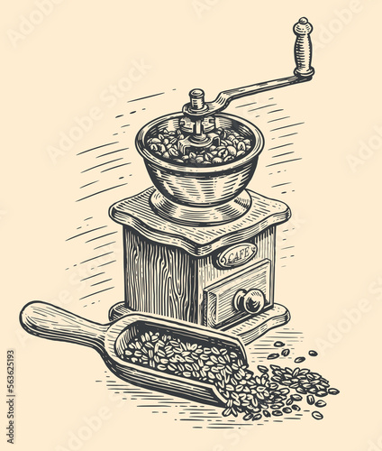 Retro manual coffee grinder with roasted coffee beans, vintage sketch. Vector illustration for cafe or restaurant menu