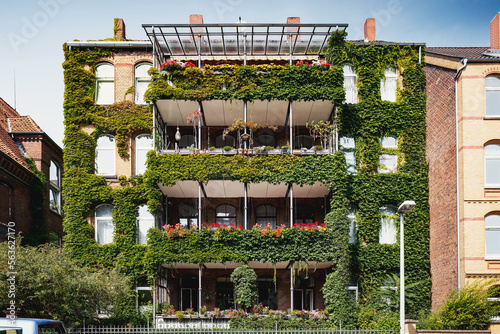Große begrünte Fassade im Stadtteil Linden in Hannover, Fassadenbegrünung