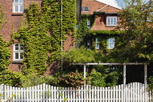 Grüne Stadt Hannover, begrünte Fassaden