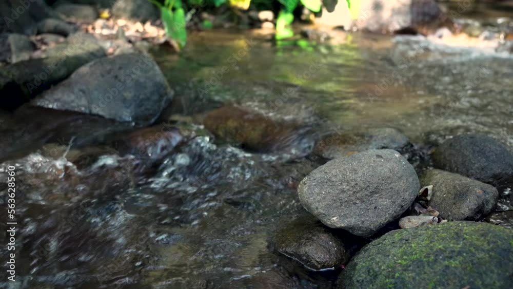 clear and fresh water floating on the river and waterfall in the forest in the countryside