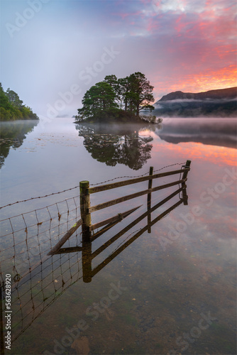 Derwentwater Sunrise, Lake District, UK. A flooded wooden fence leading into misty view of colourful sky, reflecting in the water.  photo