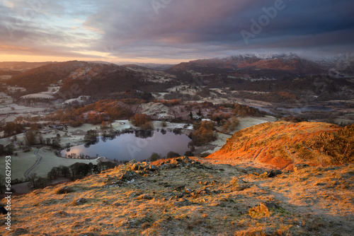 Autumn sunrise on frosty morning up Loughrigg Fell overlooking Lake District UK mountains.