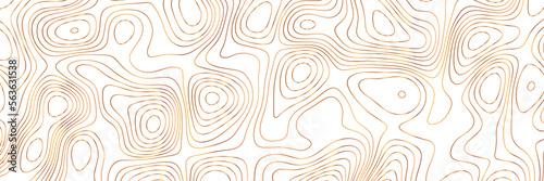 Golden color topographic contour lines isolated on white background. Panorama view contour lines map. Vector illustrator