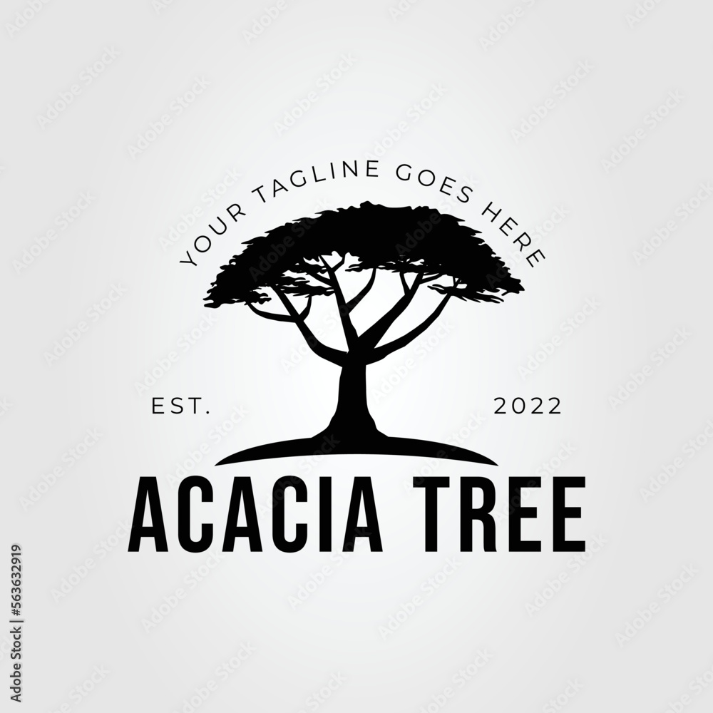 silhouette acacia tree or nature plant logo vector illustration design