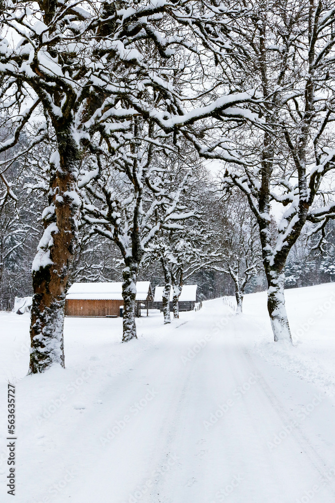 Fototapeta premium Winter landscape around Garmisch-Partenkirchen