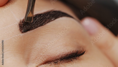 Woman having Eyebrow coloring procedure at beauty salon. Professional lamination procedures of female eyebrows in beauty salon.  Beauty care concept. Beauty master coloring eyebrow is working photo