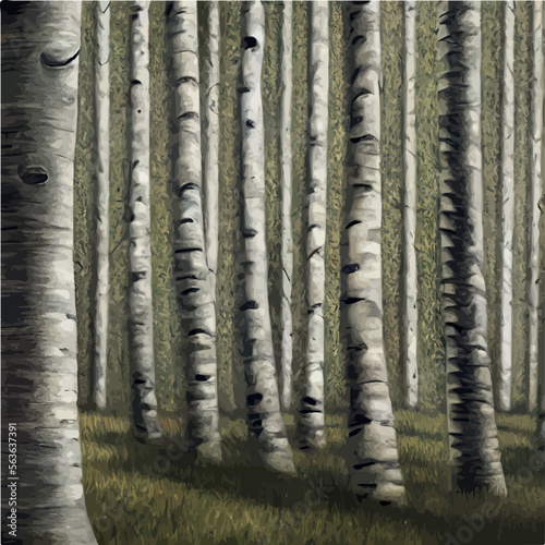 birch grove with mushrooms - colorful vector background illustration © Данил Шкадоревич