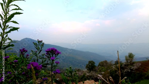 beautiful views background timelapse in the city and in the nature photo