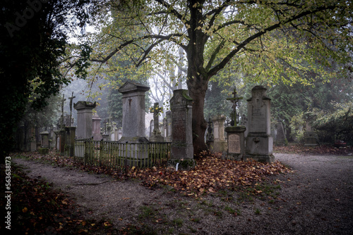 historischer Friedhof St. Peter in Straubing photo