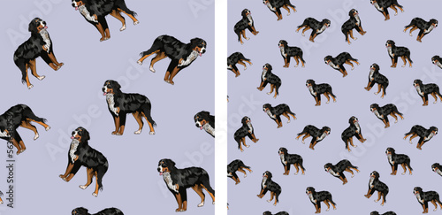 Seamless dog pattern, holiday texture. Packaging, textile, decoration, wrapping paper. Trendy hand-drawn funny breed wallpaper. Fun seamless running Bernese Mountain square pattern. Blue.