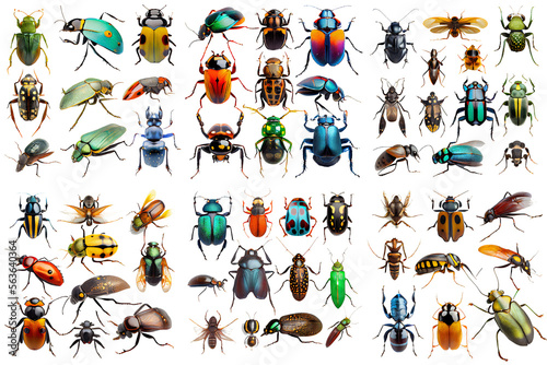Collection of insects on white background generative AI © I LOVE PNG
