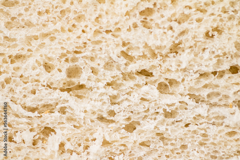 Wheat bread pulp. Macro background. 