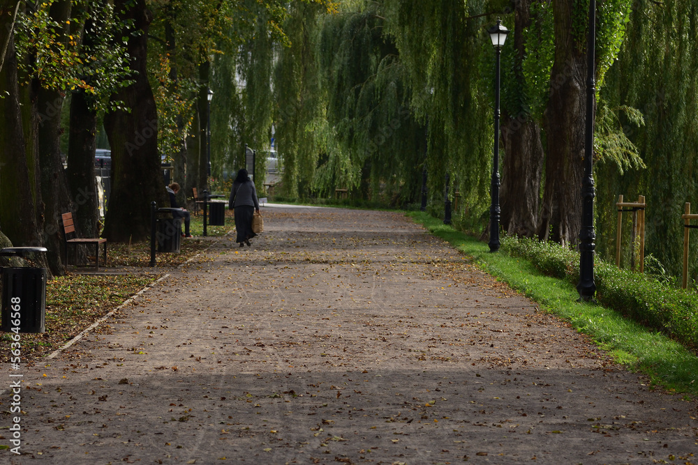 Fototapeta premium Autumn alley with old-fashioned lanterns in autumn colors on a slightly cloudy day. autumn.