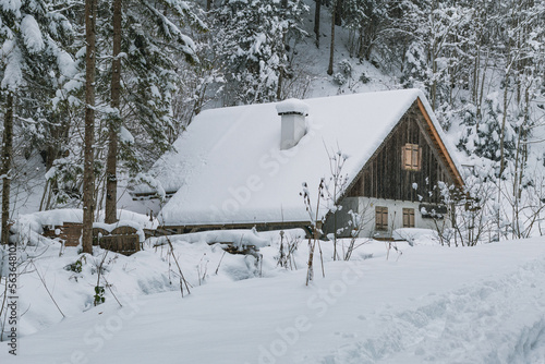 Snowy Nature in austrian forest