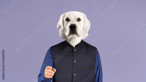 Stylish man with dog head pointing at camera © Prostock-studio