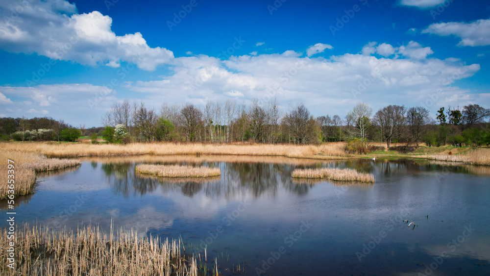 Fototapeta premium jezioro, akwen wodny