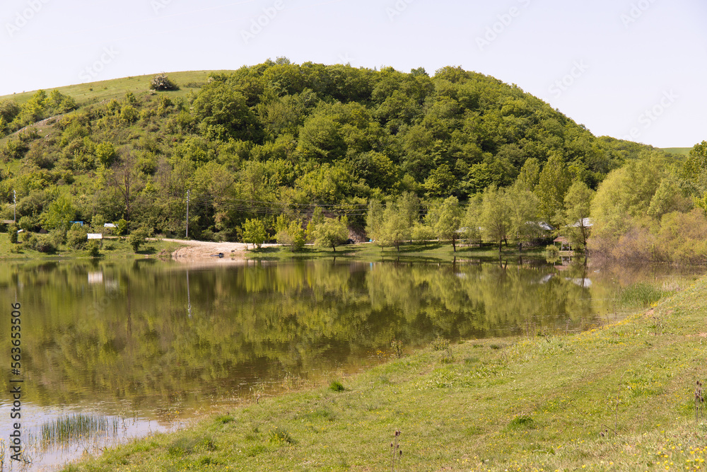 Fototapeta premium Beautiful lake with yellow flowers.