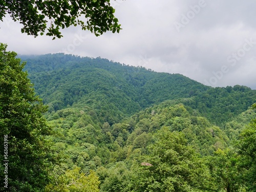 Panoramic view of Mtirala National Park  Georgia.