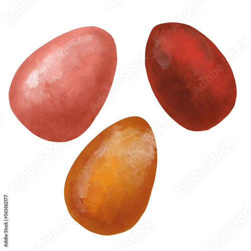 Easter eggs. Isolated illustations on white background photo