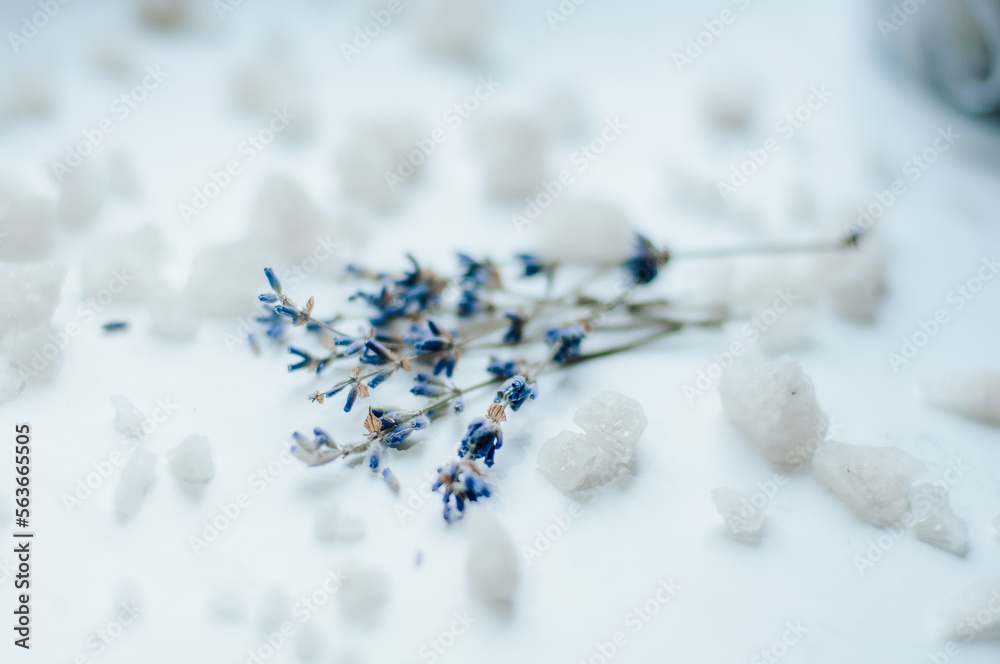 lavender on the background, sea salt