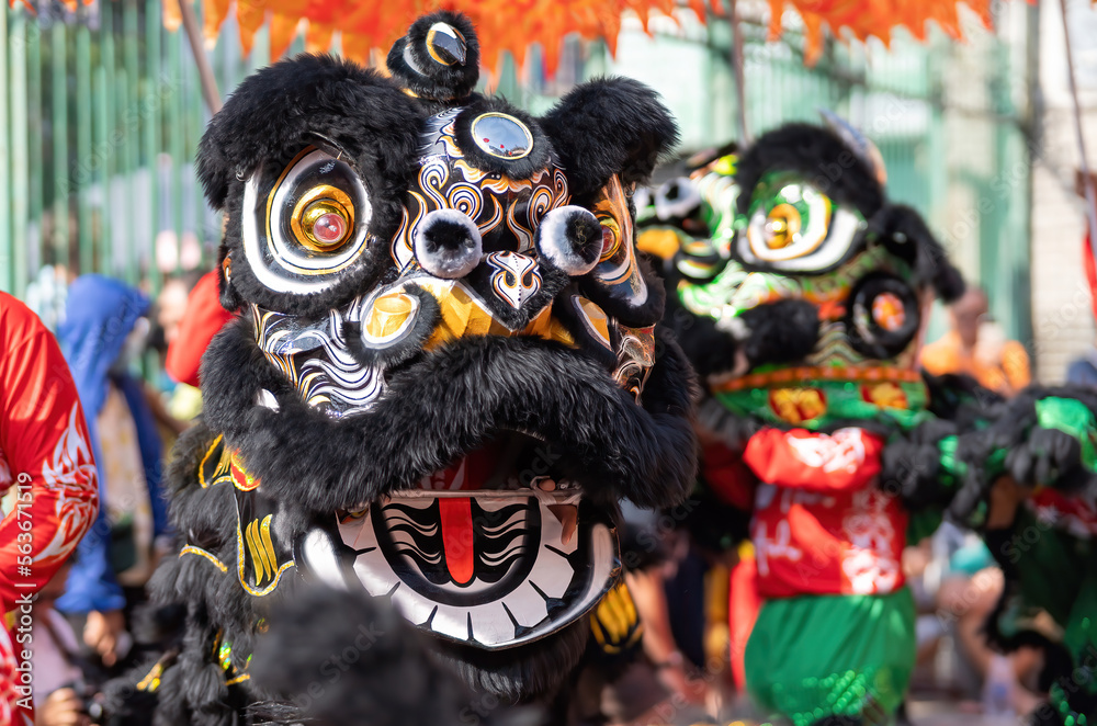 Dragon and lion dance show in chinese new year festival (Tet festival ), lion Dance - dragon and lion dance street performances in Vietnam. Selective focus. Dragon and lion dance show in chinese new year festival (Tet festival ), lion Dance - dragon and lion dance street performances in Vietnam. Selective focus.