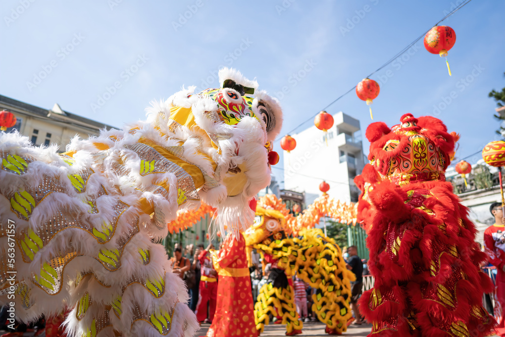 Dragon and lion dance show in chinese new year festival (Tet festival ), lion Dance - dragon and lion dance street performances in Vietnam. Selective focus.