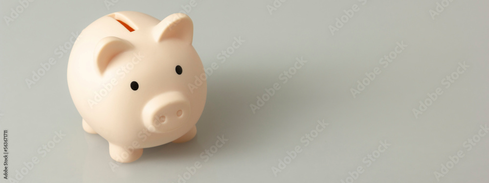 Pink piggy bank. Money and business concept. Copy space for text Pink piggy bank. Money and business concept. Copy space for text