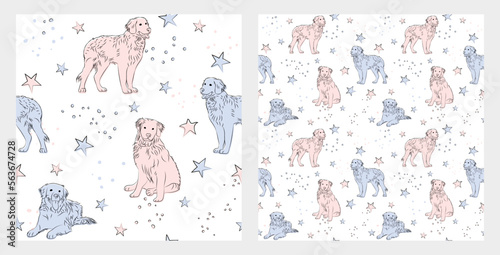 Pattern design with funny Bernese Mountain dogs doodles, seamless pattern. T-shirt textile, wrapping paper, blue background graphic design. Wallpaper for Babies and kids. Blue and Pink linen style