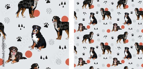 Seamless Bernese Mountain dog pattern, holiday texture. Square format, Berner Sennenhund packaging, textile, socks, textile, fabric, decoration, wrapping paper. Trendy hand-drawn dogs wallpaper.