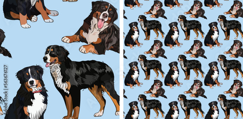 Blue Seamless Bernese Mountain dog pattern, holiday texture. Packaging, textile, decoration, wrapping paper. Trendy hand-drawn funny breed wallpaper. Fun seamless running sitting Berner Sennenhund dog