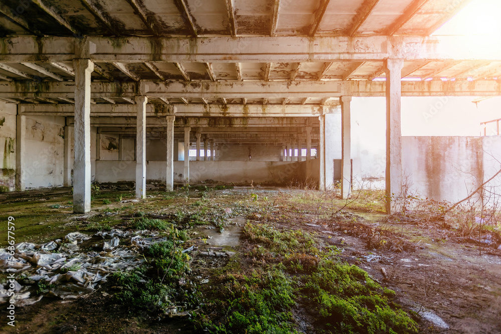 Old ruined industrial building overgrown by green moss and plants Old ruined industrial building overgrown by green moss and plants