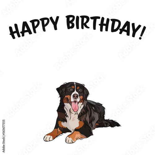 Happy birthday card with dog, holiday design. Present for a dog lover. Cartoon dog breed illustration.  Minimalistic greeting card. Fun Berner Sennenhund dog character party card. Bernese Mountain.