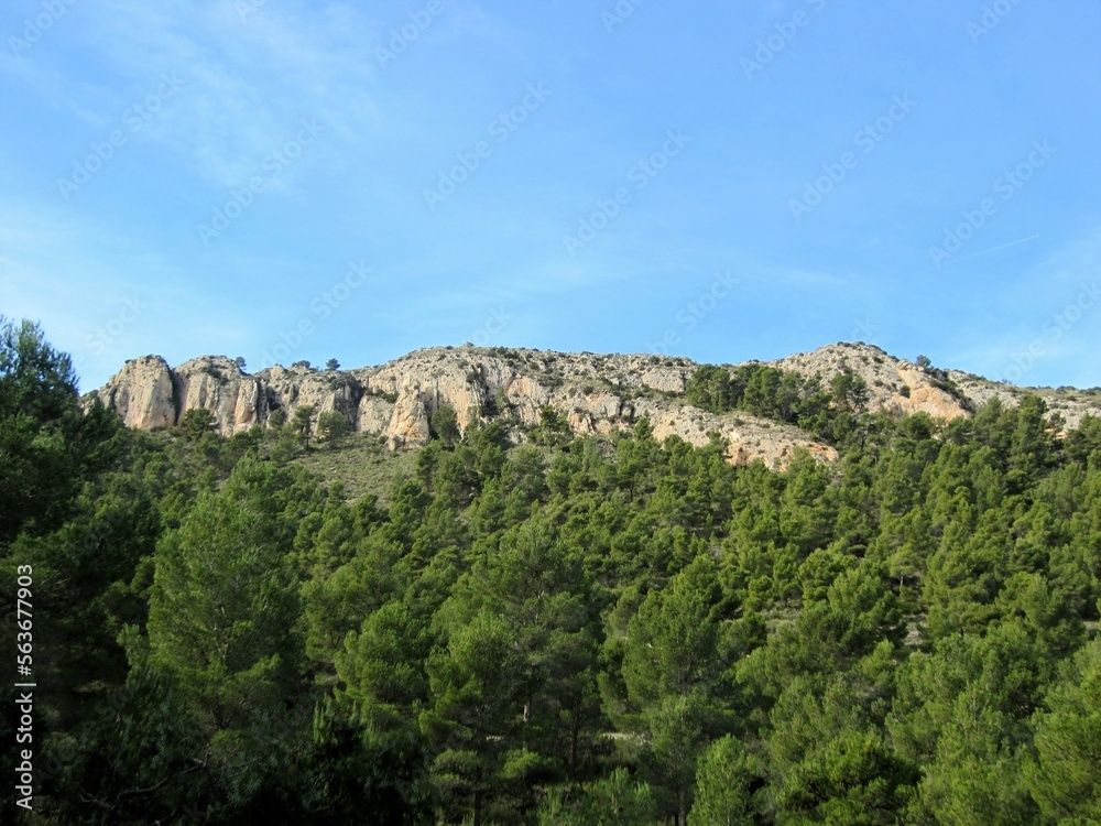 Sierra de Castalla Alicante Spain and pine forest