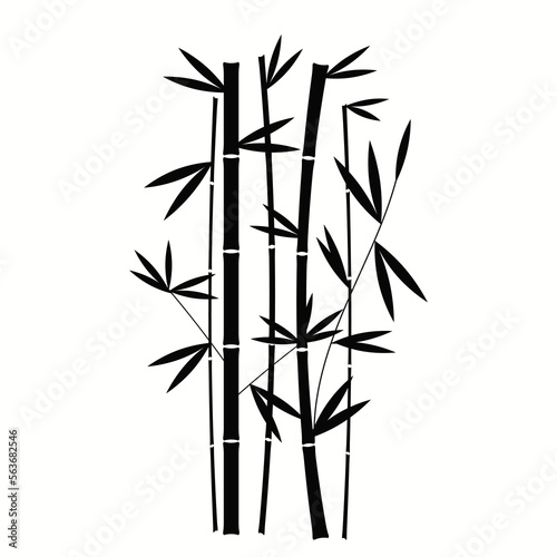 Fototapeta Naklejka Na Ścianę i Meble -  Handdrawn Black Bamboo Plant Vertical In White Background Vector