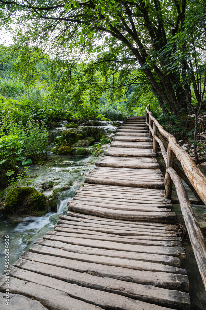 wooden bridge in the forest