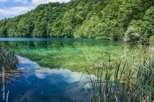 lake in the forest