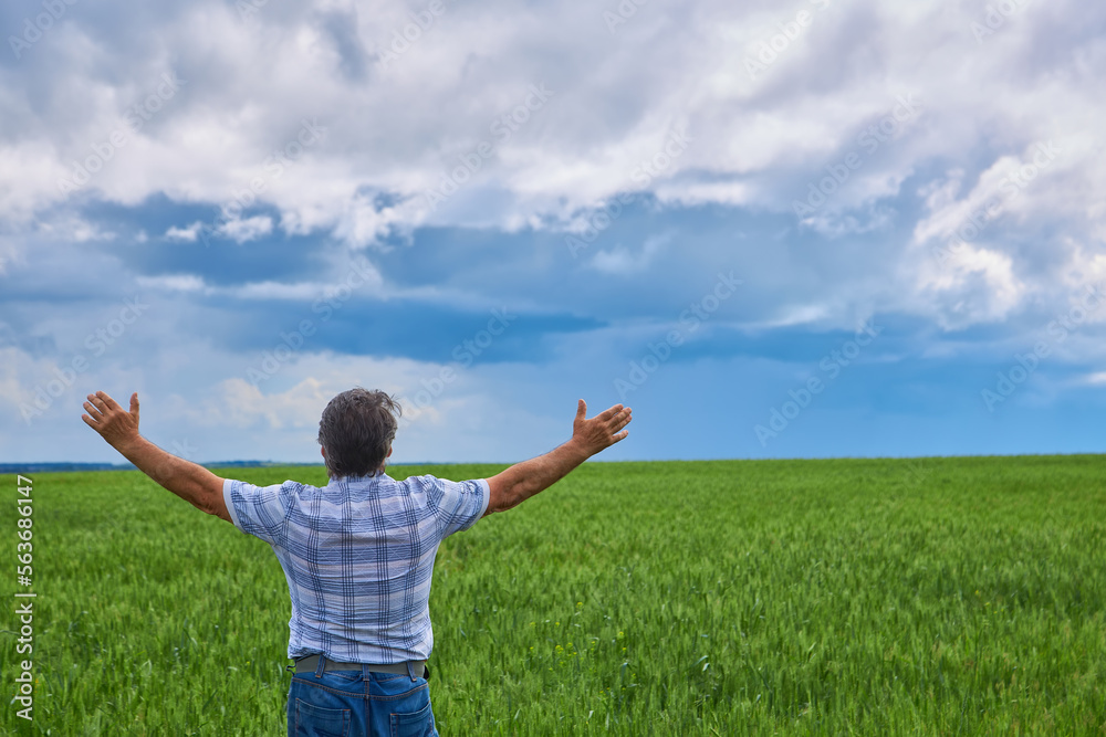 Portrait of senior farmer standing in wheat field Portrait of senior farmer standing in wheat field