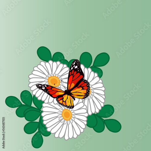 Wallpaper Mural Vector image, background, print of white daisies with green leaves and a monarch butterfly on a green background. Graphic design. Torontodigital.ca