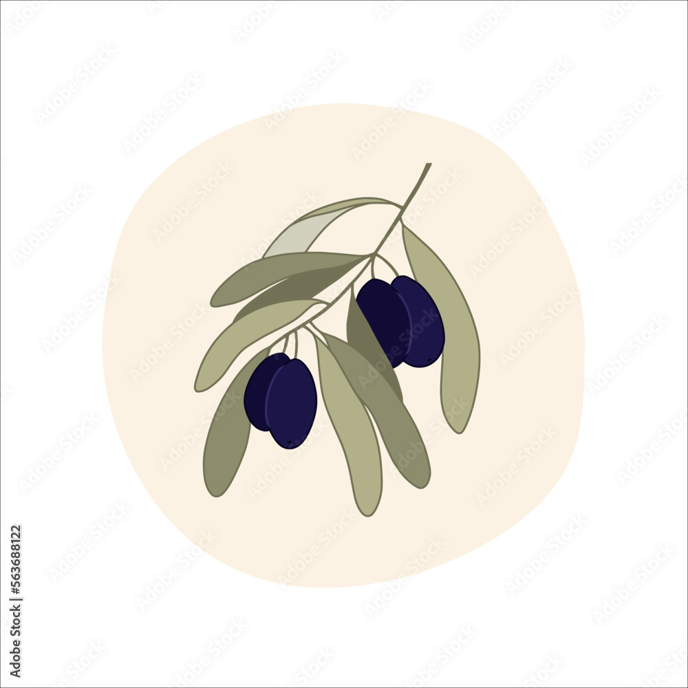 Olive tree branch in cartoon style. Vector illustration. Olive tree branch in cartoon style. Vector illustration.