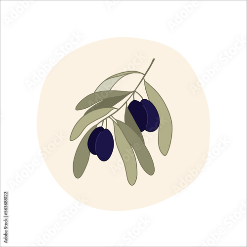 Olive tree branch in cartoon style. Vector illustration.