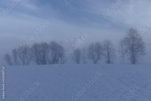 Landschaftsidylle im Winter am Morgen. © G. Maierhofer