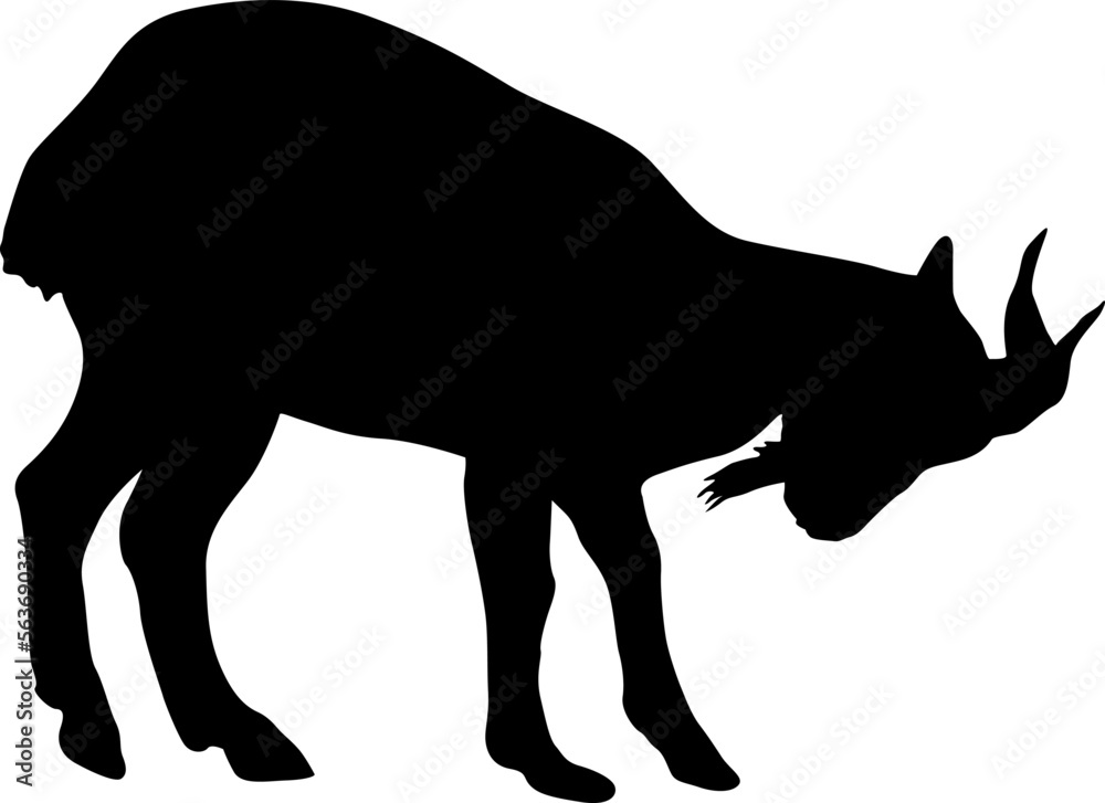 Silhouette goat animal farm on a white background Silhouette goat animal farm on a white background