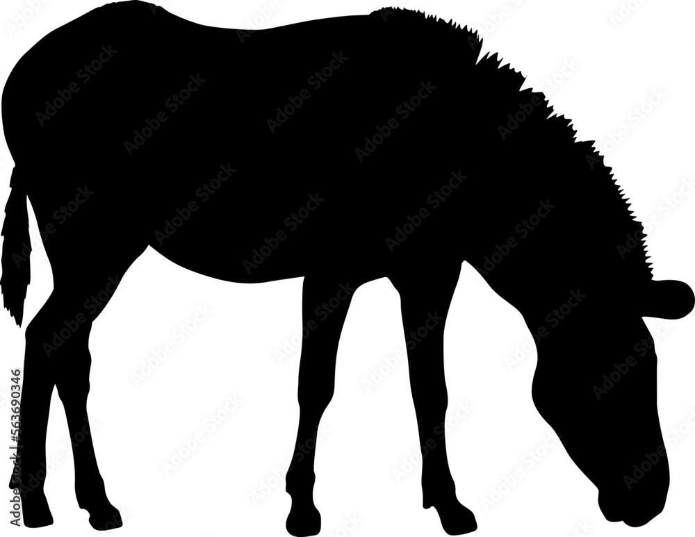 Obraz premium Silhouette african zebra on a white background